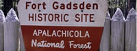 Apalacicola National Forest
