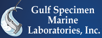 Gulf Specimen marine Laboratories, Inc.